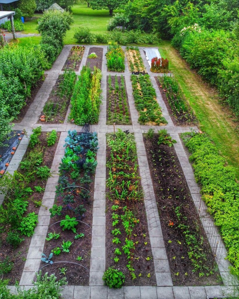 An aerial view of organized rectangular garden beds with green plants separated by stone paths.