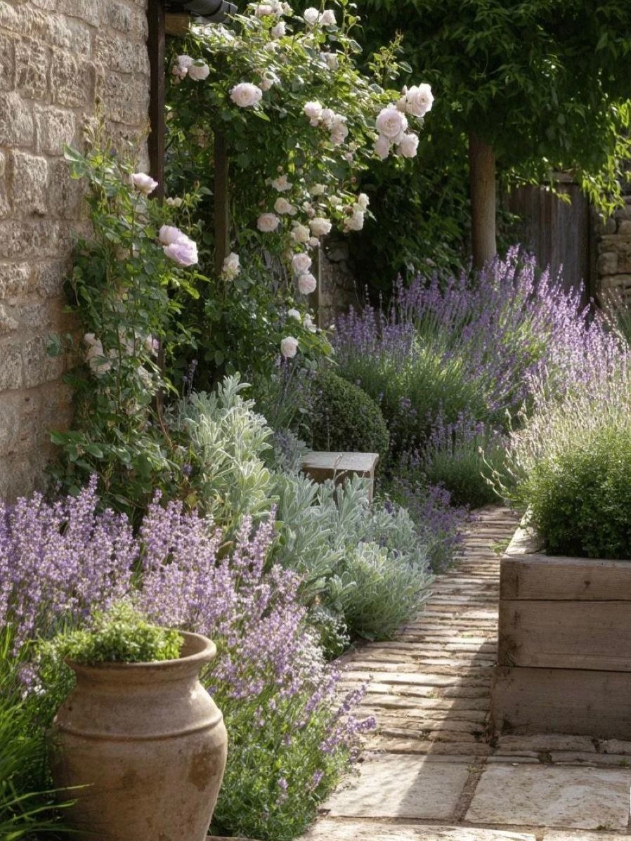 A stone garden path lined with purple lavender, sage, and climbing white roses against a stone wall.