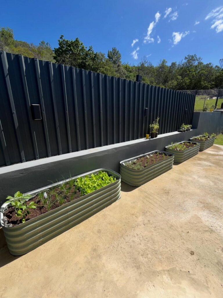 Corrugated metal raised garden beds with green plants sitting on a concrete patio by a dark fence.